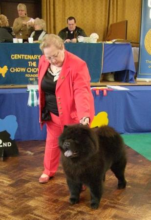 The Chow Chow Club